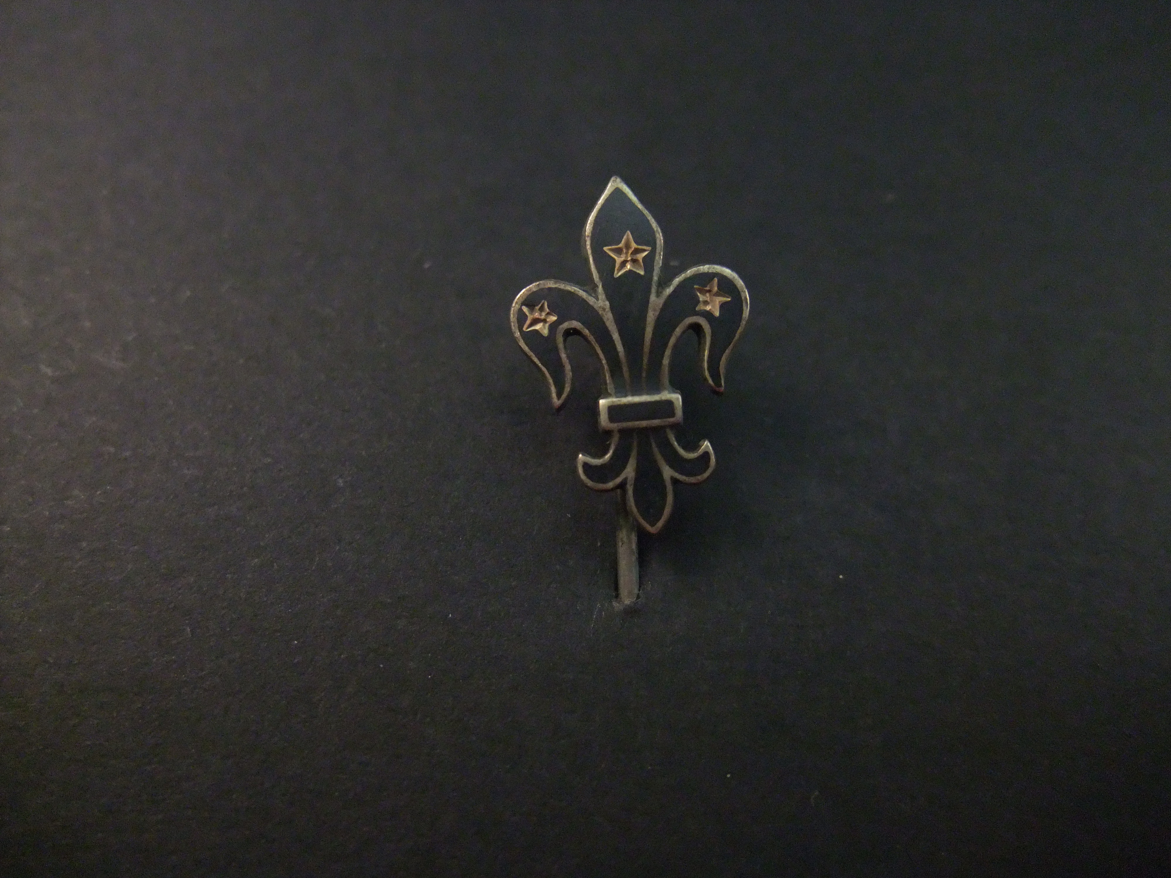 Scouting Franse lelie logo met drie sterren